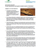 Forest Operations and Great Crested Newts in Scotland